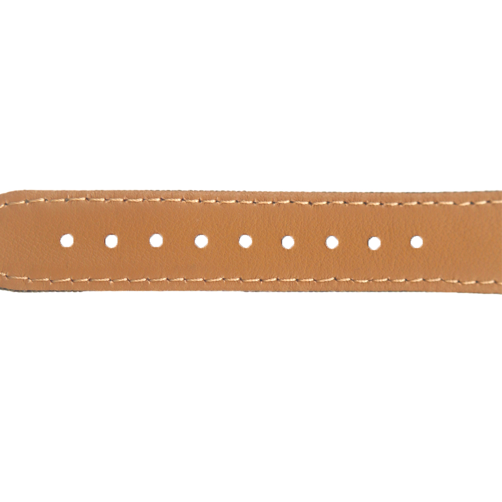 Popular 2 Pieces Style 21mm Green Sailcloth+Brown Waterproof Leather Watch Strap With Brushed 304L SS Buckle And Quick Release Spring Bar